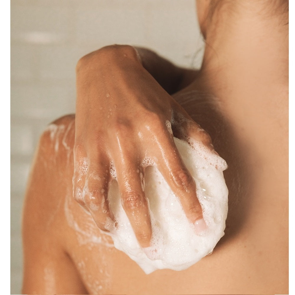 Signature Body Buffing Sponge x 2