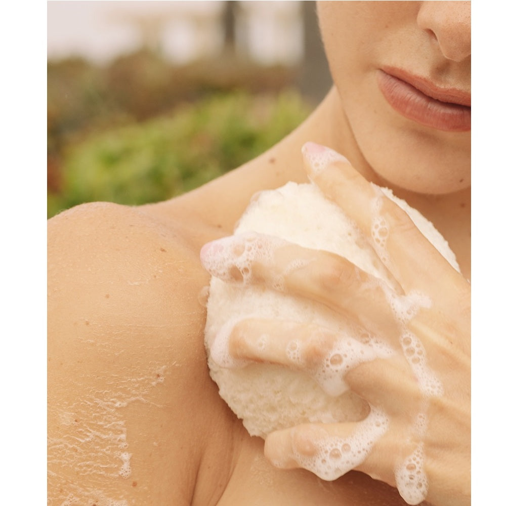 Rose Body Buffing Sponge x 2
