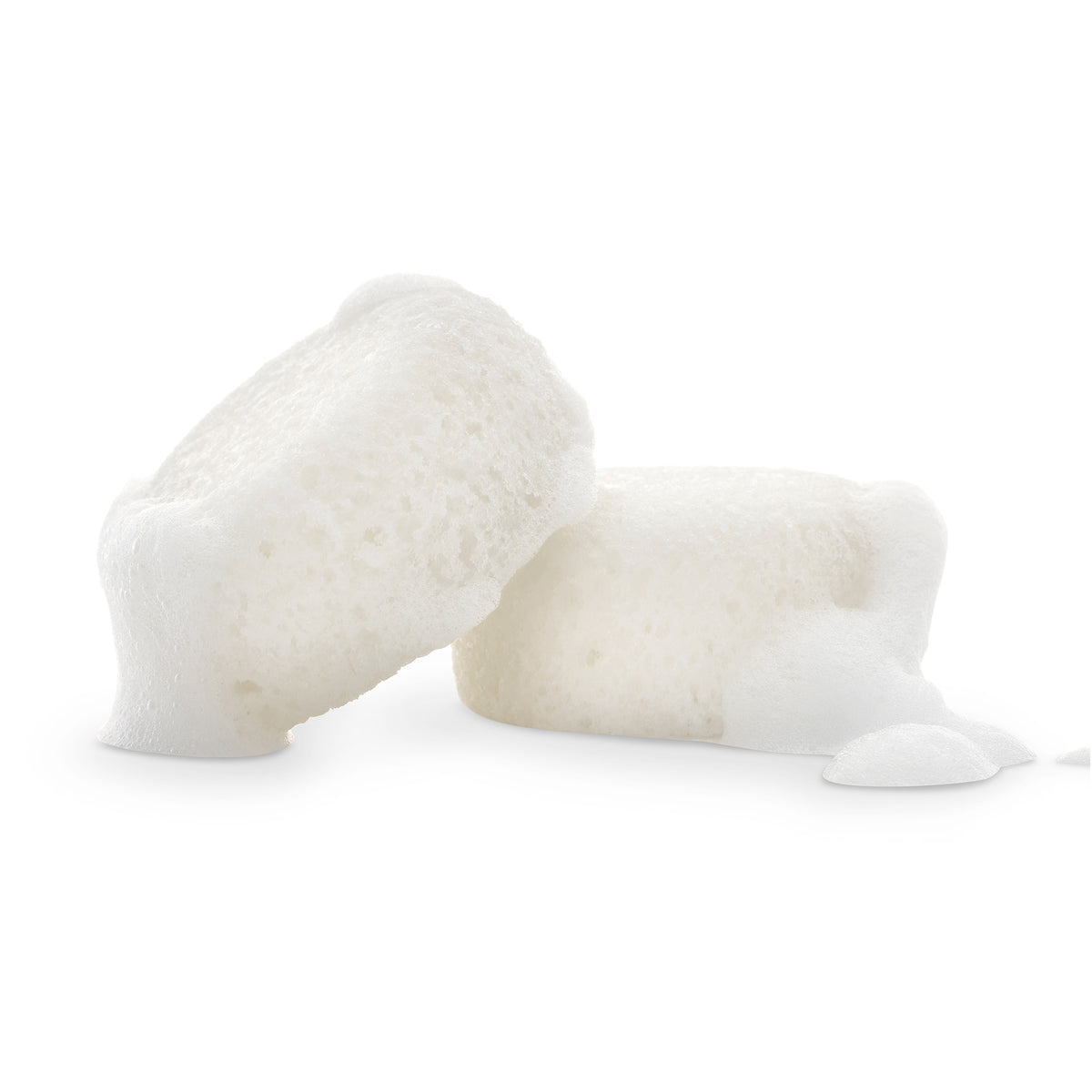 Signature Body Buffing Sponge x 2
